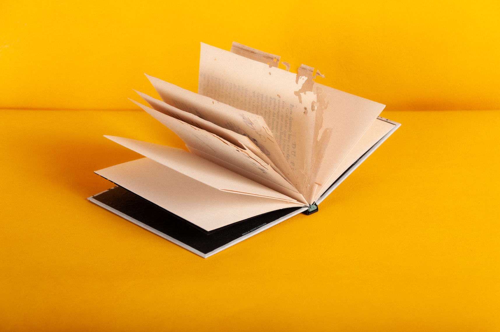 reliure ouverte avec page en éventail