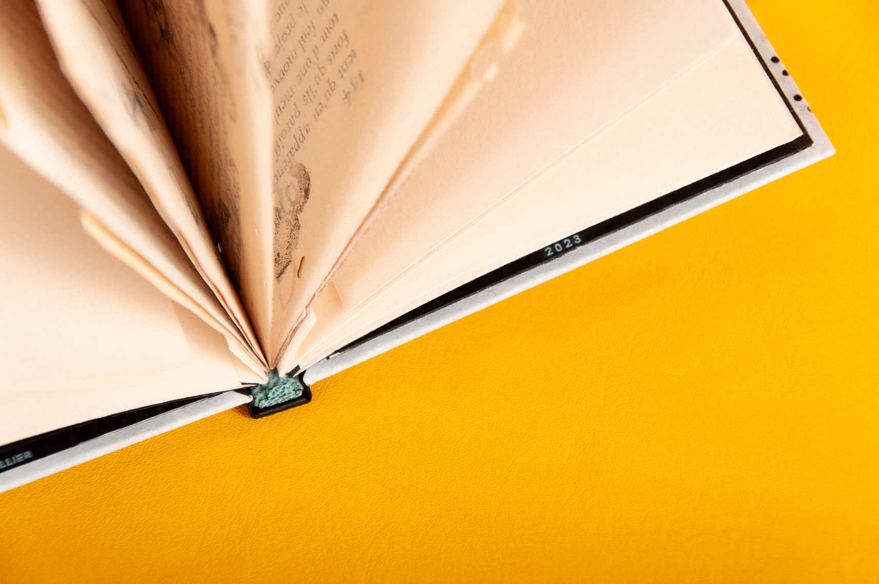 vue de la tranchefile et des pages du livre